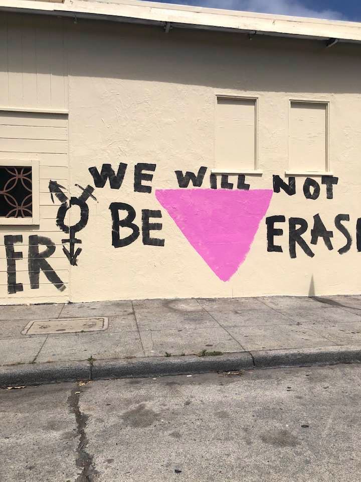 The meme is an image of a pink triangle with the text "We're here, we're queer, we're not going anywhere" and a rainbow-colored "LGBTQ+" flag, but with the "L" and "Q" replaced with a pink triangle and a "P" respectively, and the "T" and "B" replaced with a "T" and a "B" in a circle. The text is a play on the classic LGBTQ+ pride phrase, but with a nod to the pink triangle that was used as a symbol of persecution during the Holocaust.